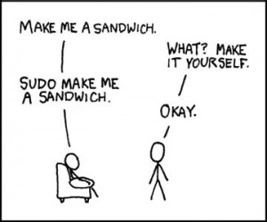 how sudo works